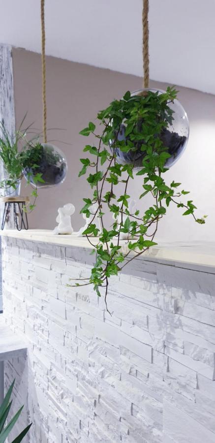 סן-קלוד Studio Zen Et Cosy, Neuf En Pleine Ville מראה חיצוני תמונה
